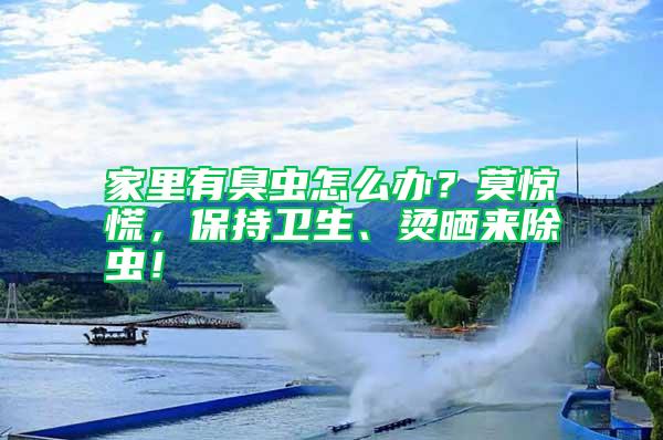 家里有臭虫怎么办？莫惊慌，保持卫生、烫晒来除虫！