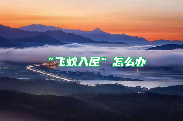 “飞蚁入屋”怎么办