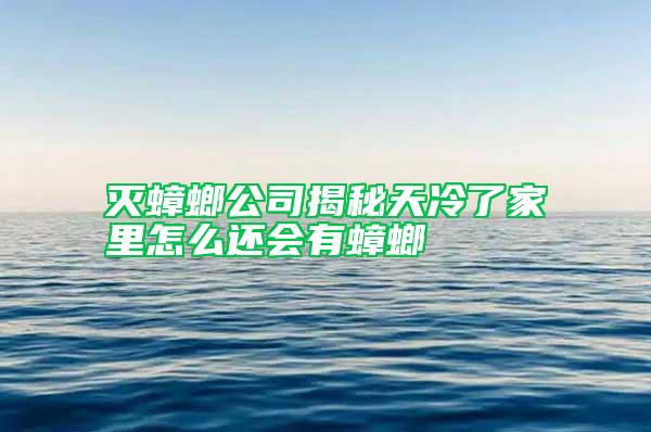 灭蟑螂公司揭秘天冷了家里怎么还会有蟑螂