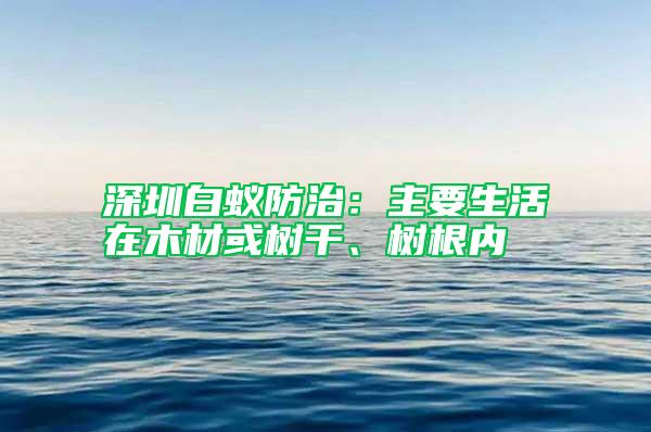 深圳白蚁防治：主要生活在木材或树干、树根内