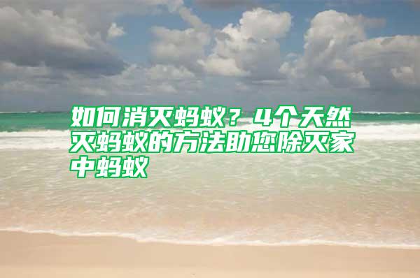 如何消灭蚂蚁？4个天然灭蚂蚁的方法助您除灭家中蚂蚁