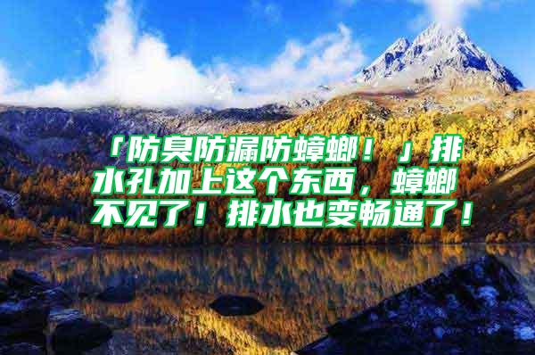 「防臭防漏防蟑螂！」排水孔加上这个东西，蟑螂不见了！排水也变畅通了！