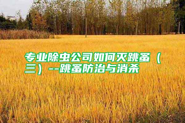 专业除虫公司如何灭跳蚤（三）--跳蚤防治与消杀