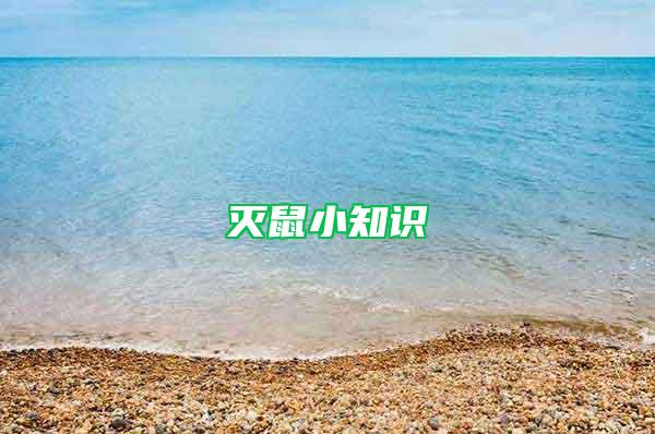 灭鼠小知识