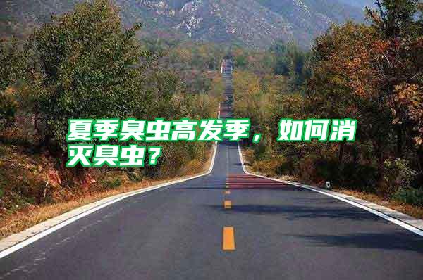 夏季臭虫高发季，如何消灭臭虫？