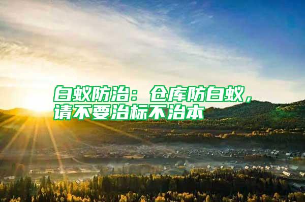 白蚁防治：仓库防白蚁，请不要治标不治本