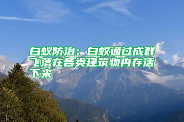 白蚁防治：白蚁通过成群飞落在各类建筑物内存活下来