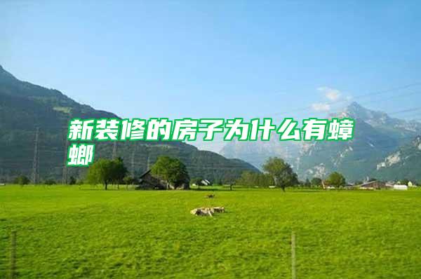 新装修的房子为什么有蟑螂