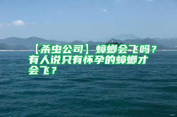 【杀虫公司】蟑螂会飞吗？有人说只有怀孕的蟑螂才会飞？