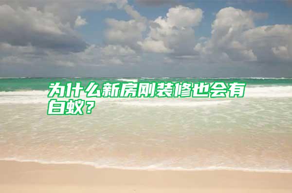 为什么新房刚装修也会有白蚁？