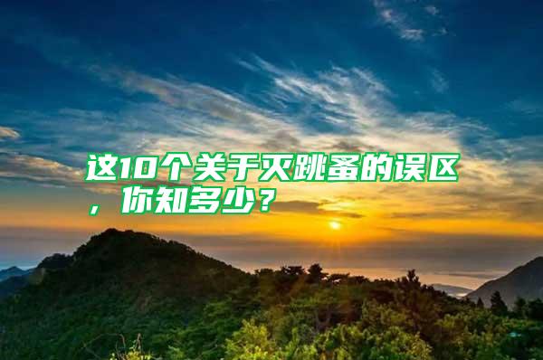 这10个关于灭跳蚤的误区，你知多少？