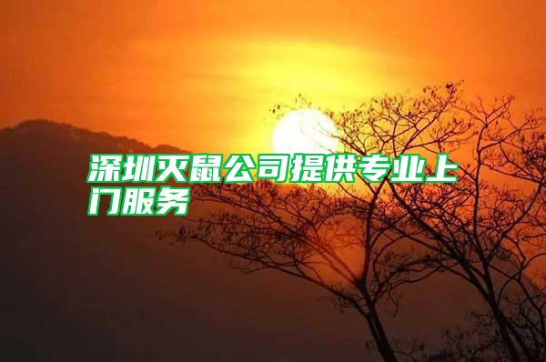 深圳灭鼠公司提供专业上门服务