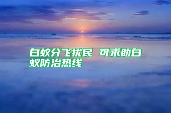 白蚁分飞扰民 可求助白蚁防治热线