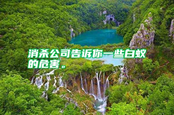 消杀公司告诉你一些白蚁的危害。