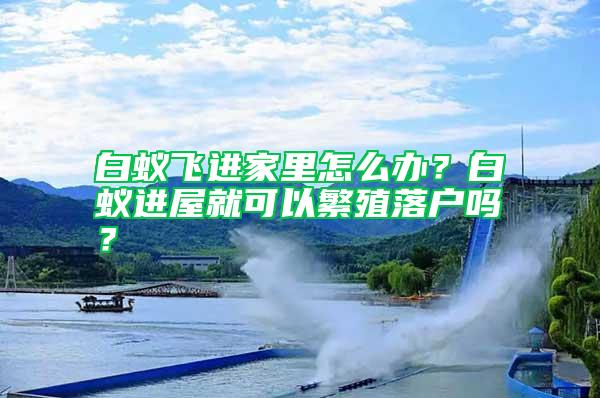 白蚁飞进家里怎么办？白蚁进屋就可以繁殖落户吗？