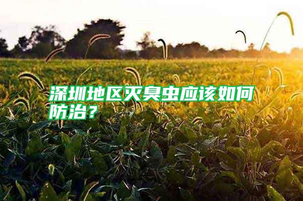 深圳地区灭臭虫应该如何防治？