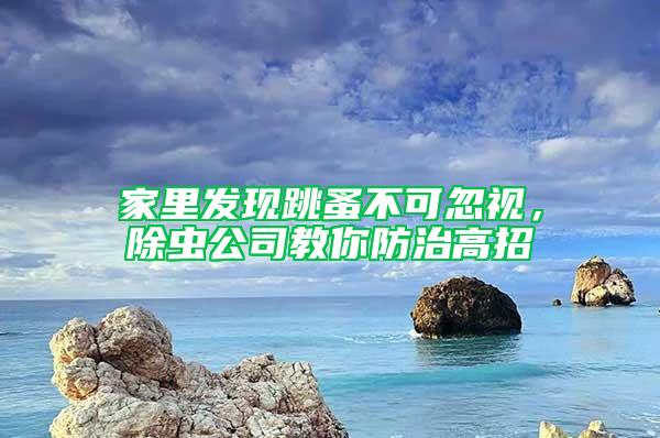 家里发现跳蚤不可忽视，除虫公司教你防治高招