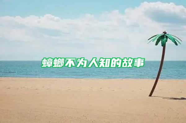蟑螂不为人知的故事