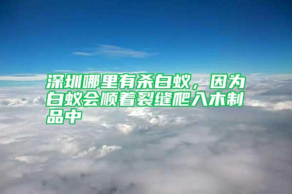 深圳哪里有杀白蚁，因为白蚁会顺着裂缝爬入木制品中