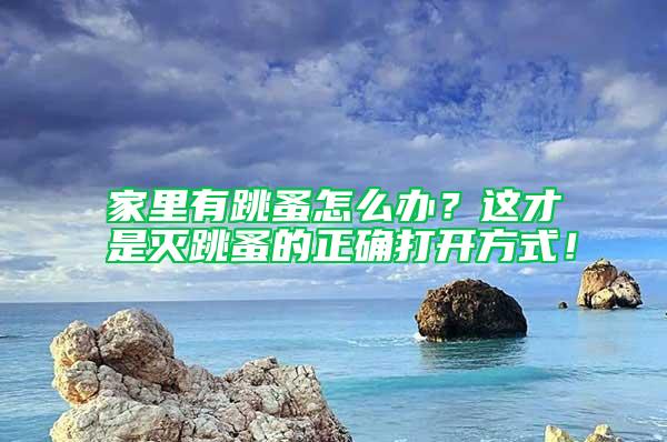 家里有跳蚤怎么办？这才是灭跳蚤的正确打开方式！