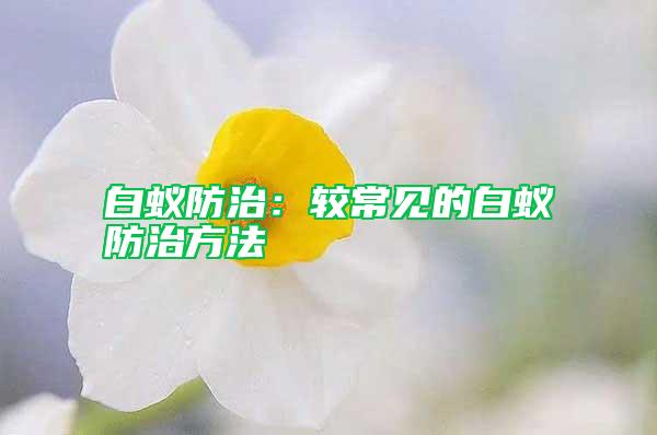 白蚁防治：较常见的白蚁防治方法