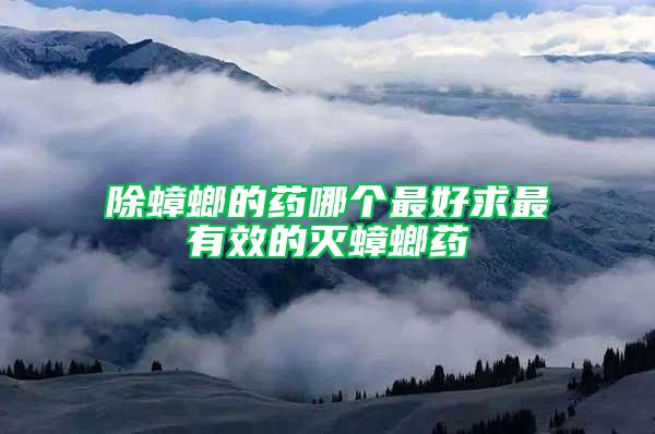 除蟑螂的药哪个最好求最有效的灭蟑螂药