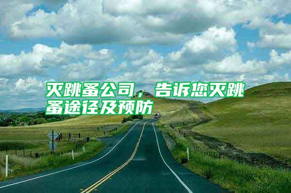 灭跳蚤公司，告诉您灭跳蚤途径及预防