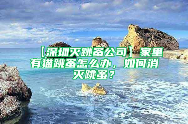 【深圳灭跳蚤公司】家里有猫跳蚤怎么办，如何消灭跳蚤？