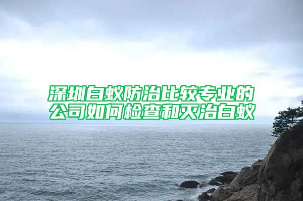 深圳白蚁防治比较专业的公司如何检查和灭治白蚁