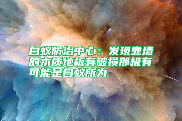 白蚁防治中心：发现靠墙的木质地板有破损那极有可能是白蚁所为