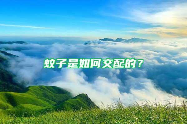 蚊子是如何交配的？