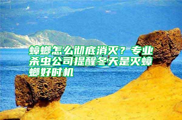 蟑螂怎么彻底消灭？专业杀虫公司提醒冬天是灭蟑螂好时机