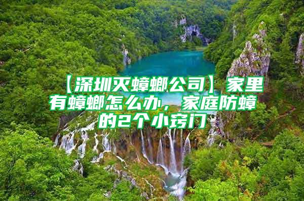 【深圳灭蟑螂公司】家里有蟑螂怎么办，家庭防蟑的2个小窍门