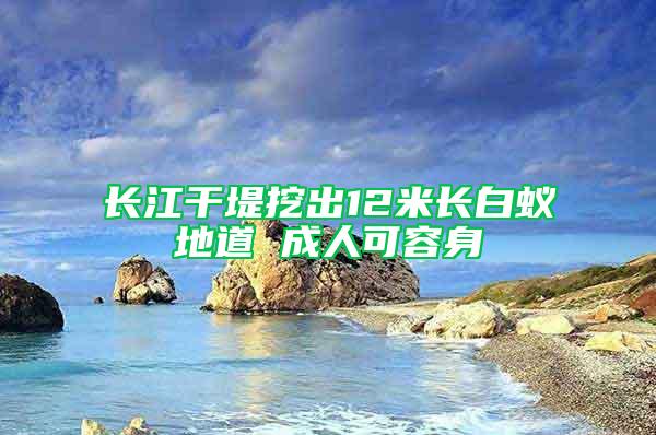 长江干堤挖出12米长白蚁地道 成人可容身