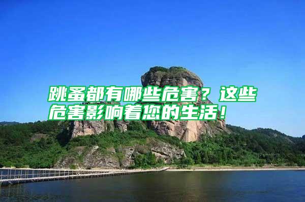 跳蚤都有哪些危害？这些危害影响着您的生活！