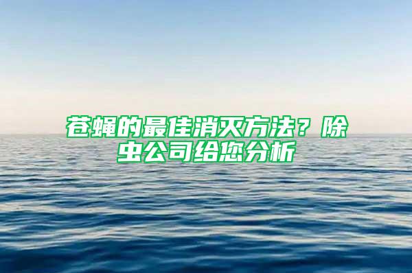 苍蝇的最佳消灭方法？除虫公司给您分析