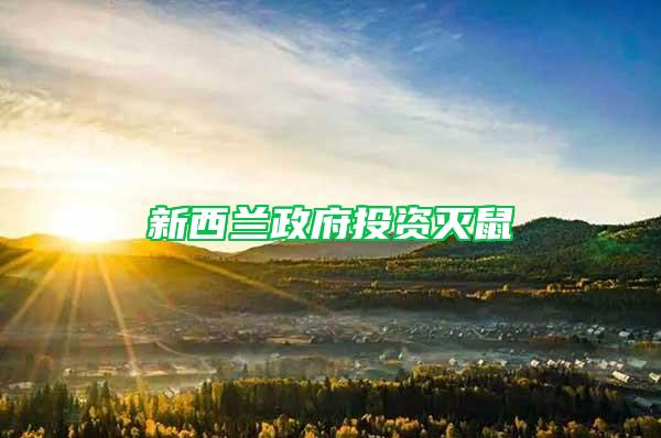 新西兰政府投资灭鼠