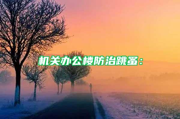 机关办公楼防治跳蚤：