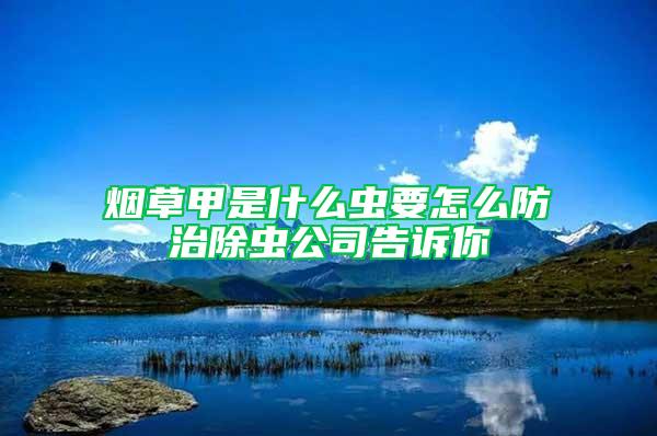 烟草甲是什么虫要怎么防治除虫公司告诉你
