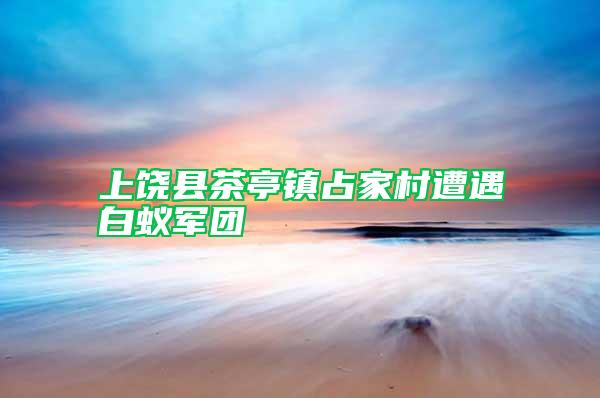 上饶县茶亭镇占家村遭遇白蚁军团