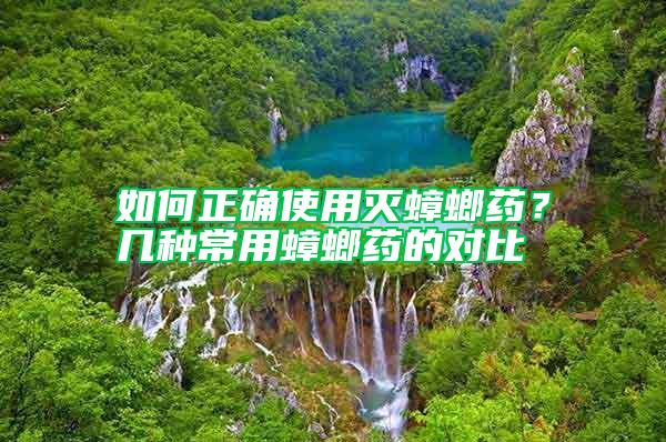 如何正确使用灭蟑螂药？几种常用蟑螂药的对比