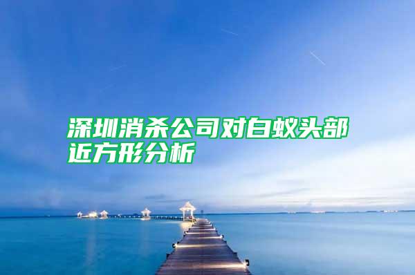 深圳消杀公司对白蚁头部近方形分析