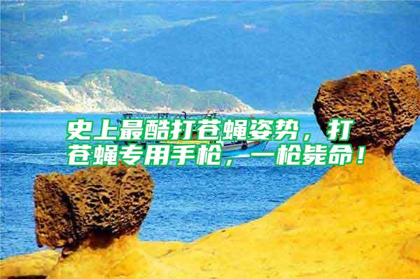 史上最酷打苍蝇姿势，打苍蝇专用手枪，一枪毙命！