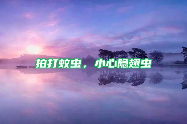 拍打蚊虫，小心隐翅虫