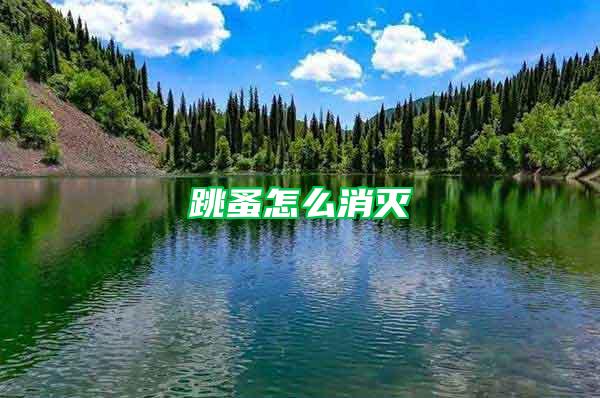 跳蚤怎么消灭