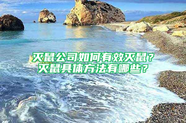 灭鼠公司如何有效灭鼠？灭鼠具体方法有哪些？