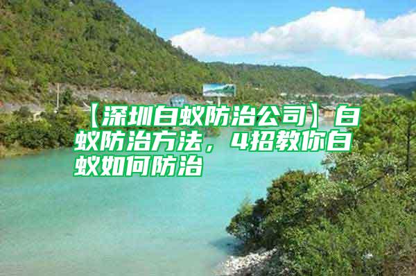 【深圳白蚁防治公司】白蚁防治方法，4招教你白蚁如何防治