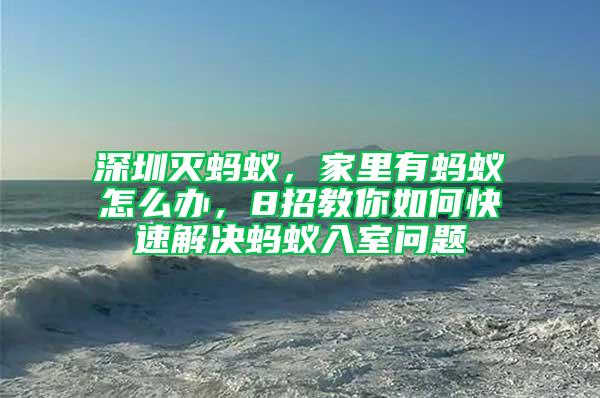 深圳灭蚂蚁，家里有蚂蚁怎么办，8招教你如何快速解决蚂蚁入室问题