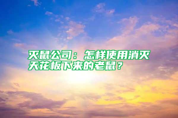 灭鼠公司：怎样使用消灭天花板下来的老鼠？