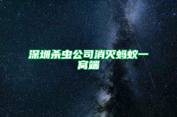 深圳杀虫公司消灭蚂蚁一窝端